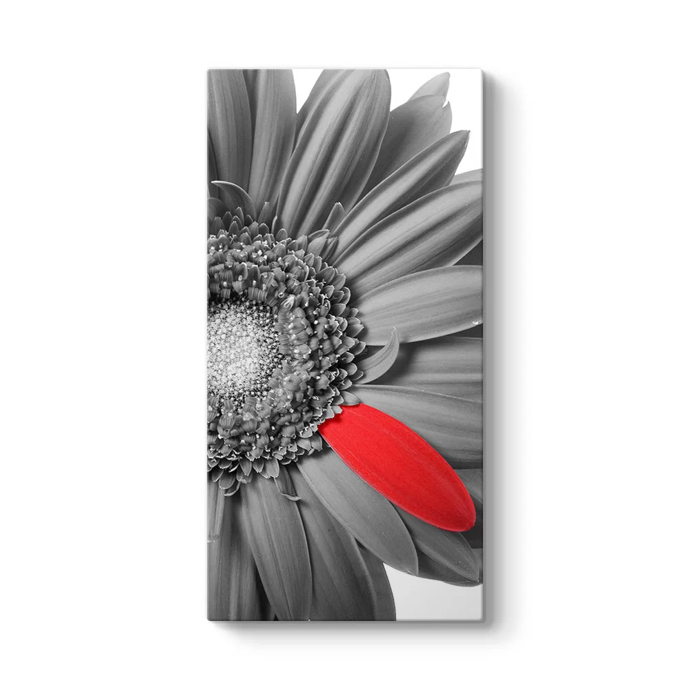 Siyah Beyaz Gerbera Tablosu - Model 7